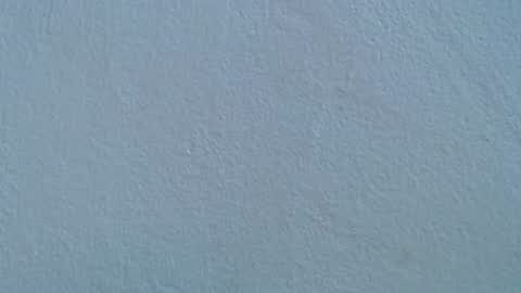 Rose  Dariah online show from July 2026 02:08:02 PM