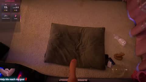 Redhead Shark online show from February 2026 01:20:01 PM