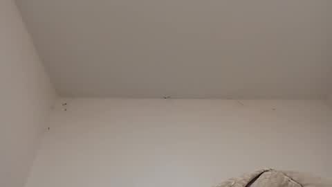 Snapshot of rednicedick chatting on January 2025 06:42:01 AM rednicedick online show from January 2025 06:42:01 AM