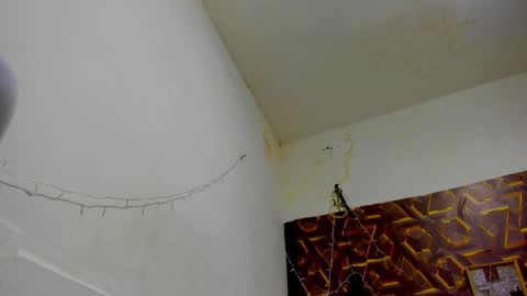 reed_kitty online show from December 2025 12:42:02 PM