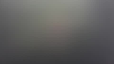 Florida Guy online show from November 2025 03:46:01 PM