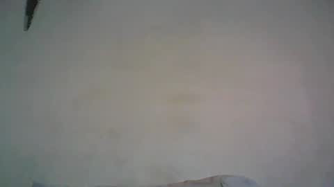 Walter online show from February 2026 07:51:01 AM