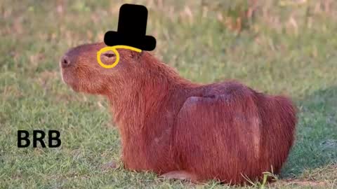 Chris online show from November 2025 08:27:02 PM