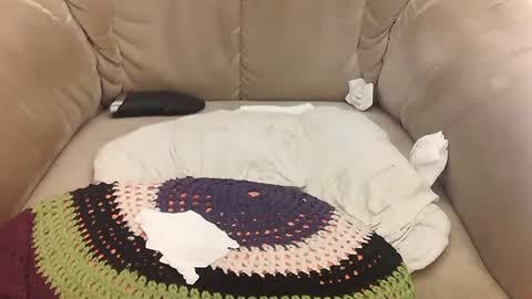 Mark online show from April 2026 07:45:01 AM