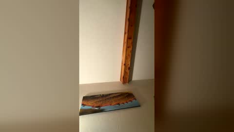 Snapshot of rhinodickasaurus chatting on December 2025 07:58:01 AM RhinoDickasaurus online show from December 2025 07:58:01 AM