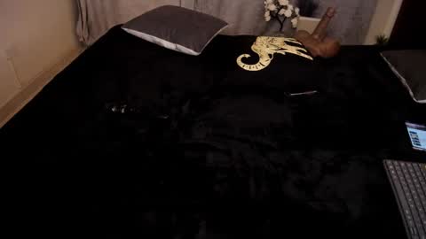 Snapshot of rhondavines chatting on January 2025 10:47:02 PM Rhonda online show from January 2025 10:47:02 PM