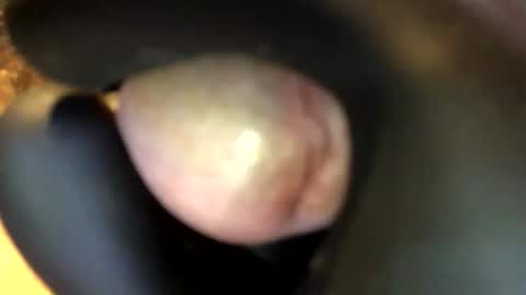 Snapshot of ricard333 chatting on December 2025 10:09:02 AM ricard333 online show from December 2025 10:09:02 AM