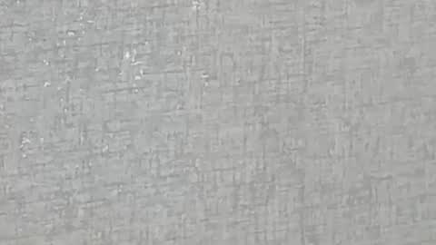 ricardogonzalez666 online show from December 2024 05:55:02 AM