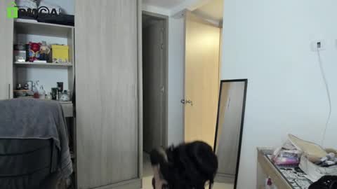 Snapshot of rickydicot_13 chatting on September 2025 02:05:02 AM RickyDicot 13 online show from September 2025 02:05:02 AM