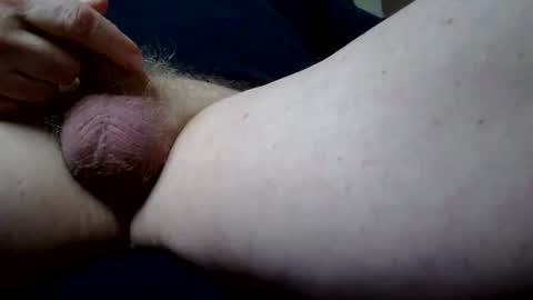 Snapshot of ridgepipe chatting on November 2025 12:15:01 PM Ridgepole online show from November 2025 12:15:01 PM