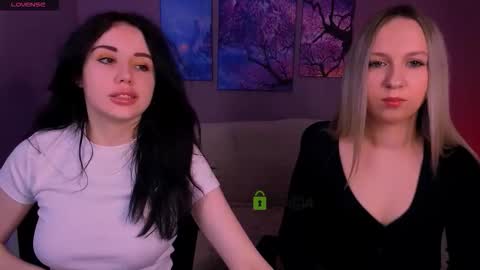 Meow online show from March 2026 08:11:01 PM