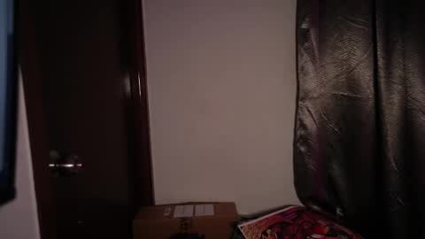 Snapshot of riniryokouwu chatting on October 2025 10:45:02 PM online show from October 2025 10:45:02 PM