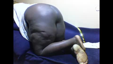 cookie online show from January 2025 08:01:01 PM