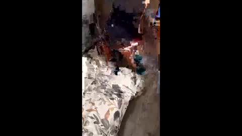 riveraizhim online show from February 2026 01:41:02 PM