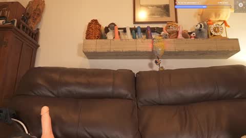 Snapshot of rndmzd chatting on February 2025 07:38:02 AM Ryan aka KeylimeRy online show from February 2025 07:38:02 AM