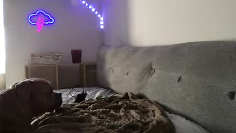 RoastingCorn online show from January 2025 10:29:02 PM