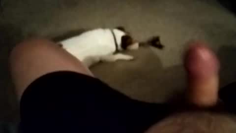 Snapshot of robbiebob6828 chatting on November 2025 06:04:02 AM robbiebob6828 online show from November 2025 06:04:02 AM