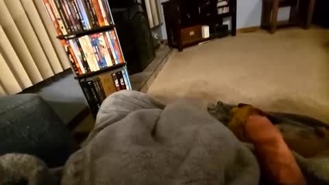 robbiebob6828 online show from March 2026 04:14:02 AM