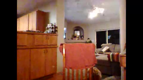 Snapshot of robo0000 chatting on November 2025 01:06:01 AM robo0000 online show from November 2025 01:06:01 AM