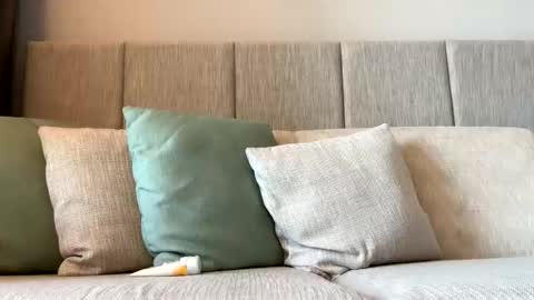 Snapshot of rockboy3000 chatting on January 2025 11:55:01 PM rockboy3000 online show from January 2025 11:55:01 PM