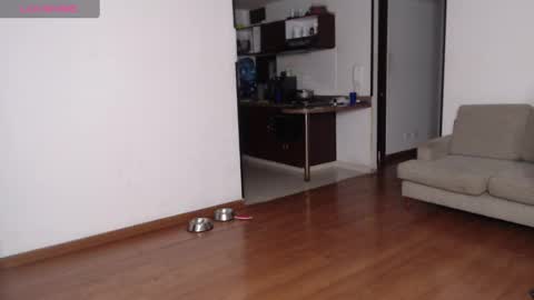 Snapshot of rogger_physique chatting on February 2025 03:12:02 AM Rogger online show from February 2025 03:12:02 AM