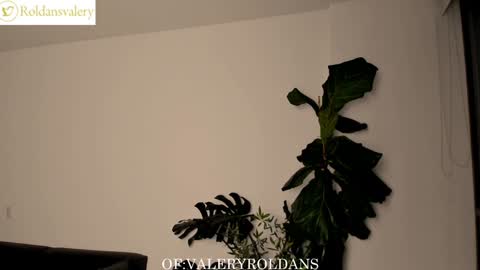 Valery Roldans online show from February 2025 02:51:02 AM