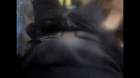 rollino83 online show from November 2025 10:38:01 AM