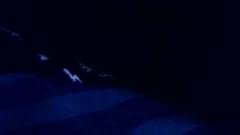 romain online show from March 2026 08:48:01 PM