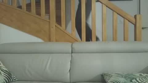 Romain online show from March 2026 06:47:02 PM