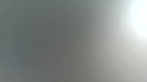 Trinked online show from November 2025 04:22:02 AM