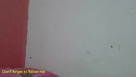 Snapshot of ronnispoto chatting on January 2025 10:10:01 PM ronny online show from January 2025 10:10:01 PM