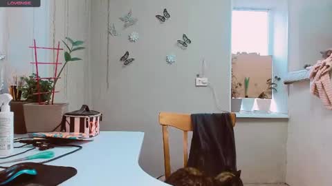 Snapshot of rosa843850 chatting on February 2025 02:13:02 PM rosa843850 online show from February 2025 02:13:02 PM