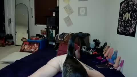 Snapshot of rosehatter chatting on December 2024 10:29:01 PM Rose Hatter online show from December 2024 10:29:01 PM