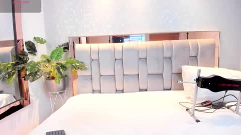 Rose online show from October 2025 04:48:02 AM