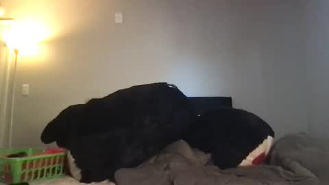 Rosie online show from March 2026 10:37:02 PM