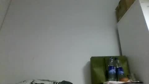 Rous online show from October 2025 12:33:02 AM