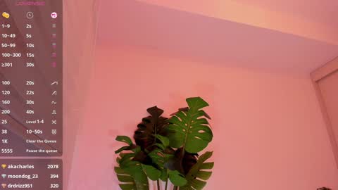 DREAM online show from January 2025 02:46:01 AM