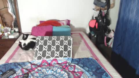 Snapshot of rousse_ellise1 chatting on December 2024 02:49:02 AM rousse online show from December 2024 02:49:02 AM