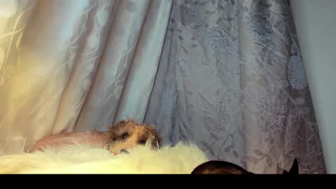 Rosita online show from February 2026 06:01:02 AM