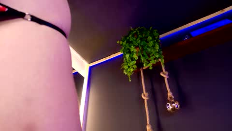 Snapshot of roxxxevelvet chatting on November 2025 10:47:02 PM Roxx IG online show from November 2025 10:47:02 PM