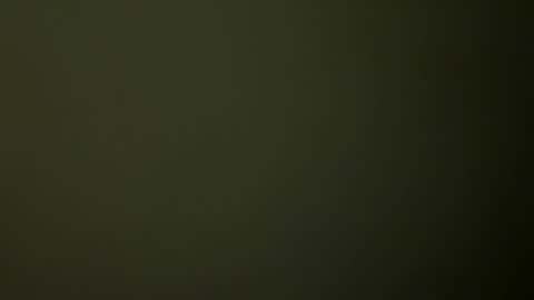 ireneTxCD online show from February 2025 02:33:02 AM