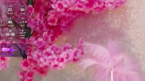 Snapshot of rubbidark chatting on December 2025 07:11:01 PM Rubbi online show from December 2025 07:11:01 PM