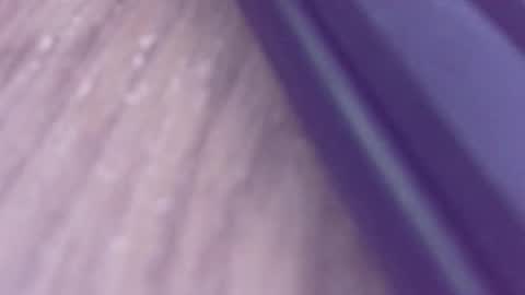 rudiandhisdick online show from March 2026 01:17:01 PM