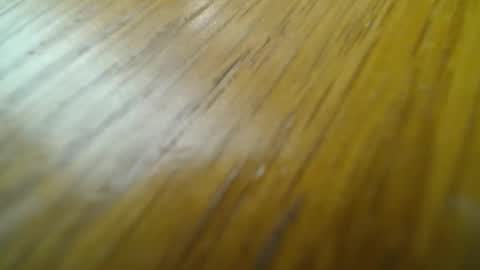 Snapshot of rustic69 chatting on February 2025 06:58:02 PM rustic69 online show from February 2025 06:58:02 PM