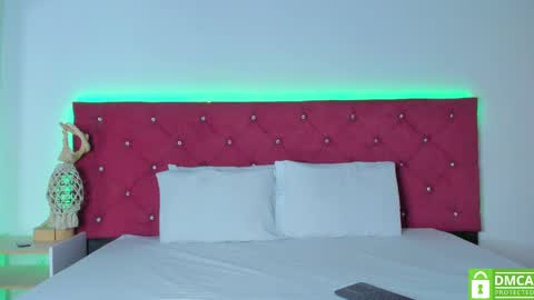 Snapshot of ruth_harvey chatting on February 2025 12:48:01 PM Ruth online show from February 2025 12:48:01 PM