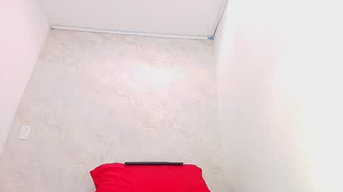 Snapshot of s_sofia_ chatting on January 2025 07:21:01 PM s_sofia_ online show from January 2025 07:21:01 PM