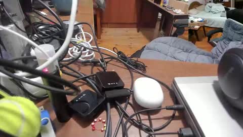 1141323  my Lord Mister Max   moms treasure online show from November 2025 10:56:01 PM