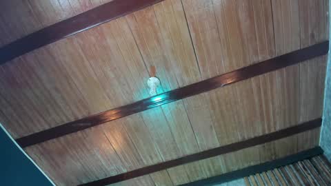 Sabrina online show from January 2025 05:42:01 AM