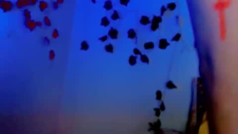 SABRI online show from March 2025 12:39:02 PM