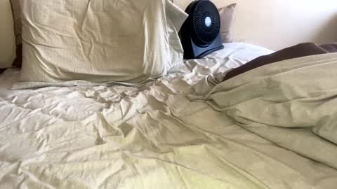 Snapshot of sackskincreamer chatting on January 2025 09:18:01 PM R online show from January 2025 09:18:01 PM